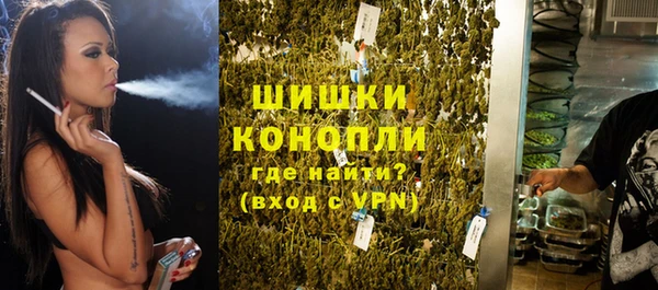 винт Лабытнанги