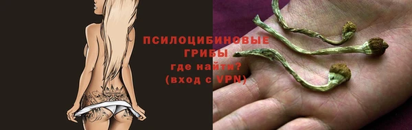 гидра Лиски