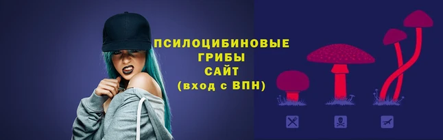 гидра Лиски