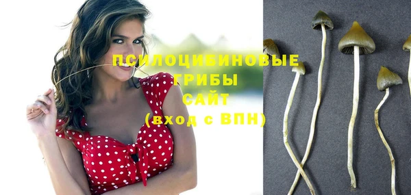 кокаин премиум Ладушкин