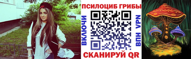 Купить закладки  Ахтубинск  Галлюциногенные грибы Magic Shrooms 
